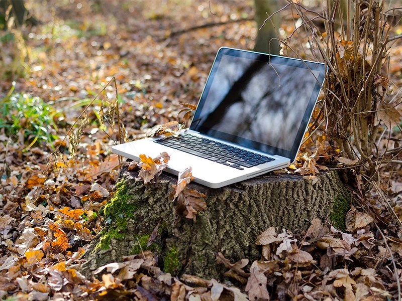 En bärbar dator på en stubbe i skogen, foto.