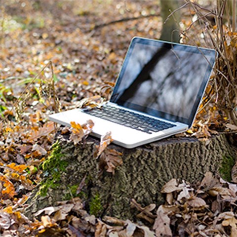 En bärbar dator på en stubbe bland löv, foto.
