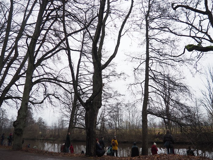 Trees and people by a river. 