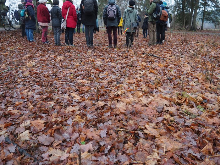 Several people stand in a ring on deciduous land.