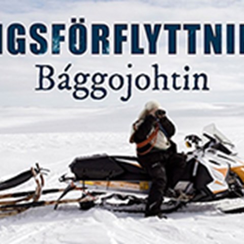 Tvångsförflyttningar - Baggojohtin