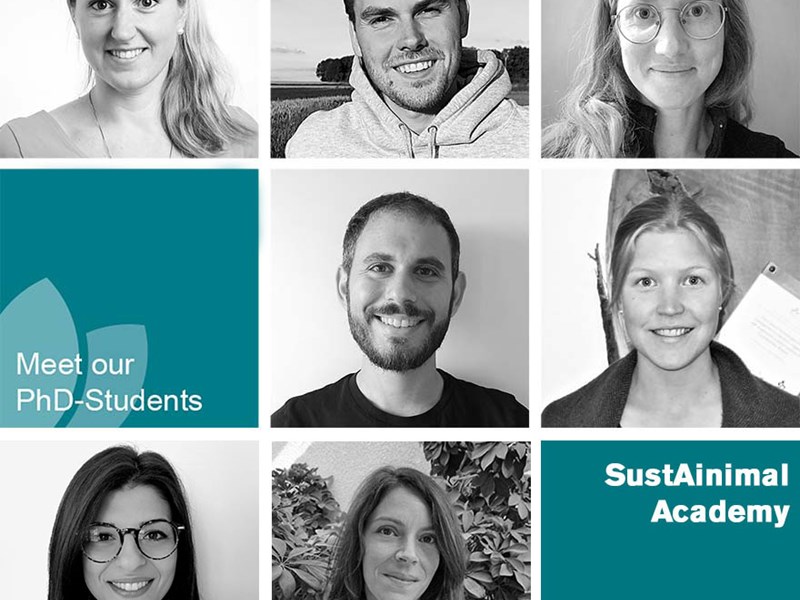 Collage with all seven PhD students in SustAinimal. Black and white portrait images and SustAinimal logo. Picture.