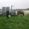 Mohammad Ramin shows methane measurement on pasture. Photo.
