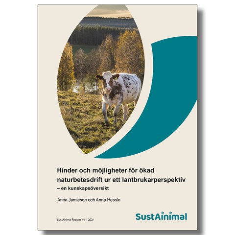 Omslag rapport #1