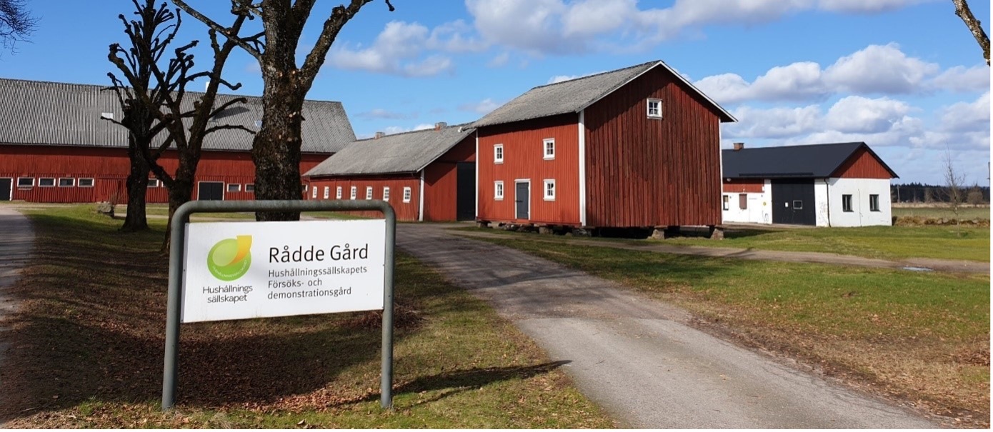 Infarten till Rådde gård, en grusväg med röda lador runt. På en vit skylt står "Rådde gård Hushållningssällskapets försöks- och demonstrationsgård". 
