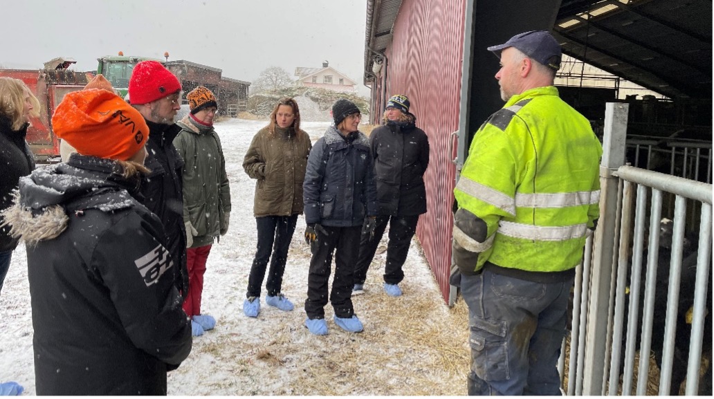 En grupp människor står utanför en ladugård och tittar in. Det är snö på marken och lite halm utstrött.