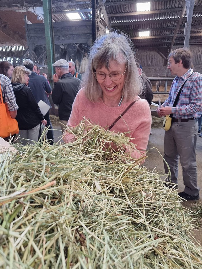 Elisabet Nadeau undersöker hö. Foto.