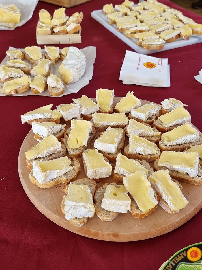 Små smakprov av olika ostar på brickor. Foto.