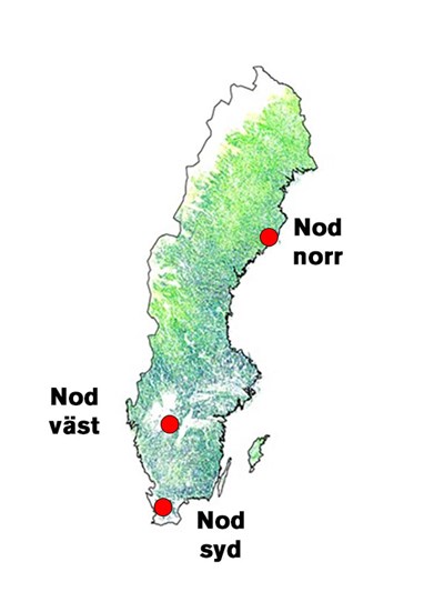 Karta över hela Sverige med tre röda punkter som markerar nod norr, nod väst och nord syd. Bild. 