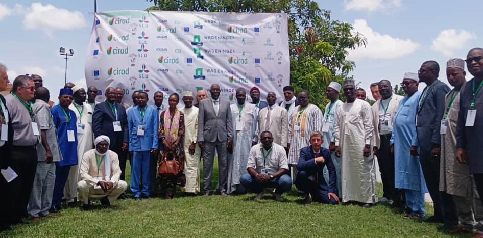 More than 30 persons participated in the SASi-SPi Agro-Sylvo Pastoralism Science-Policy Lab in N’Djamena, Chad. Photo: Boris Agossadou