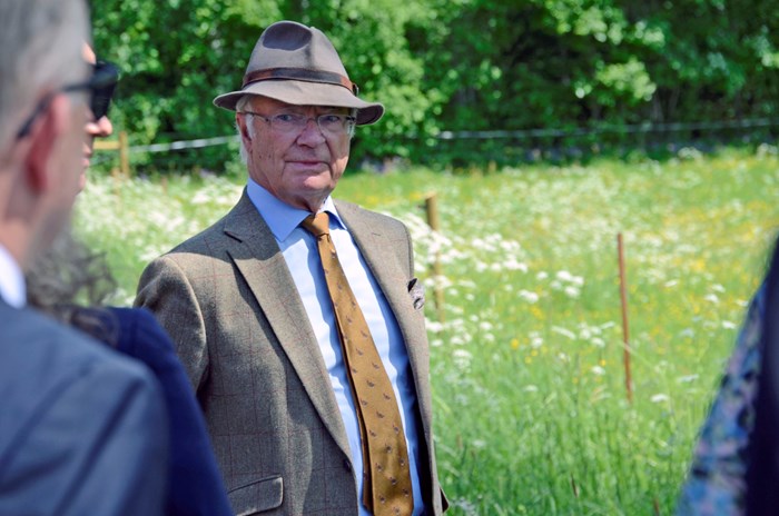 Kungen deltar vid en föreläsning om hur rovdjursavvisande stängsel fungerar.