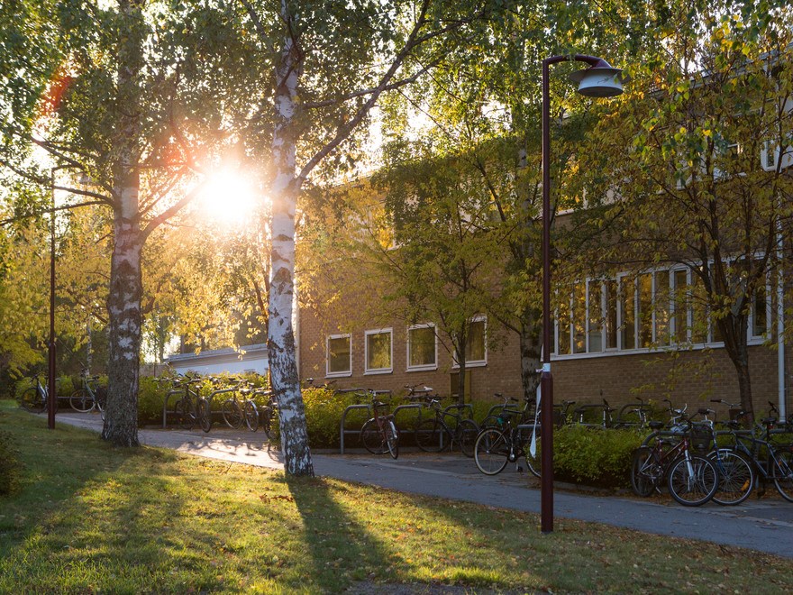 Housing Umeå