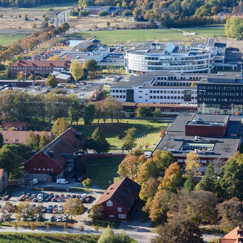 Aerial view from campus Uppsala