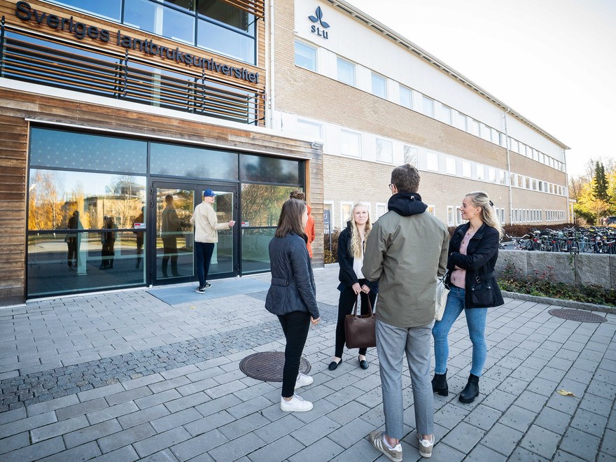 Studenter på campus Umeå.
