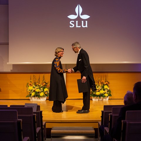 Professorial inauguration at SLU Umeå 2019