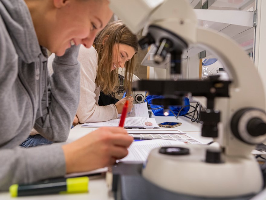 Studenter som pluggar