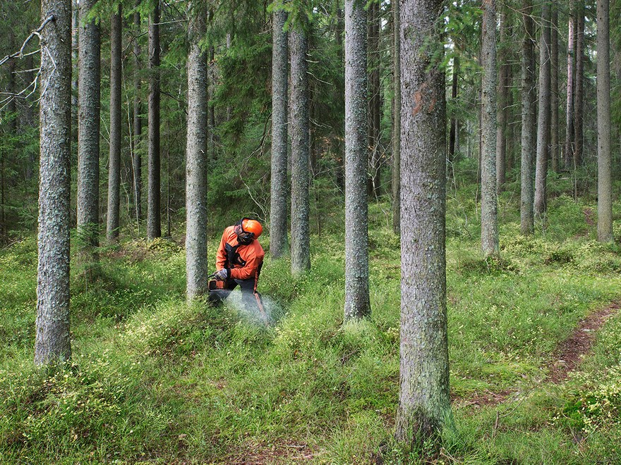 skogshuggare