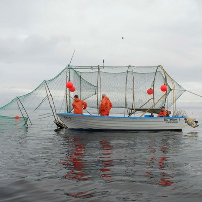 An image of a boat with a push up trap for fishing. Three persons on the boat.