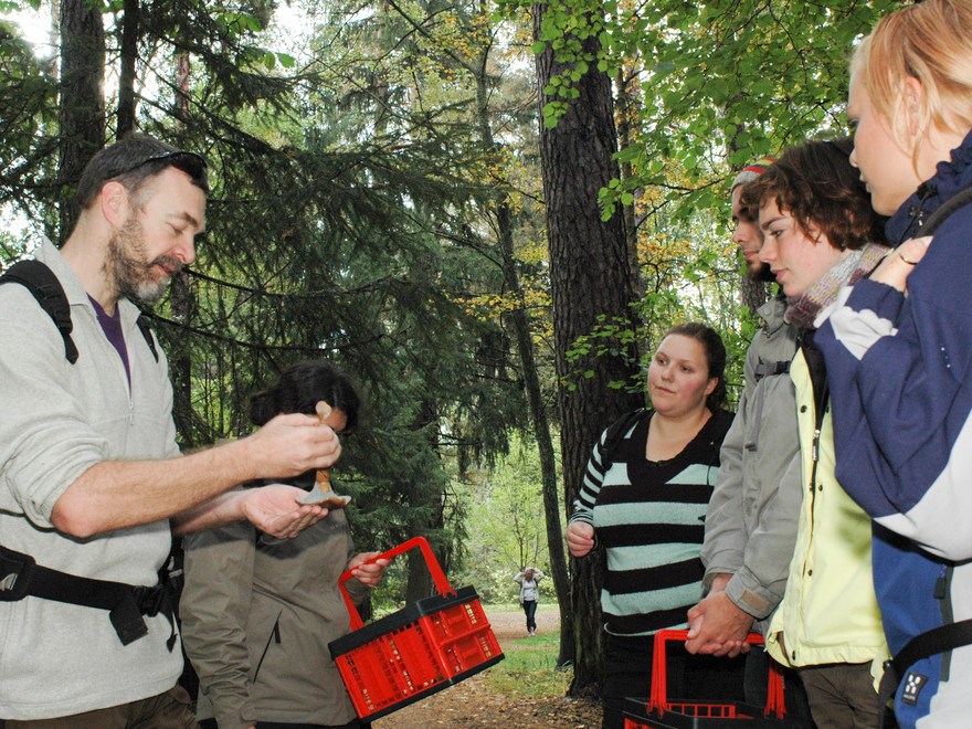 SLU-students at Excursion Fungi in Stadsskogen, Uppsala. Photo.