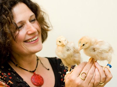 Linda Keeling and chicks
