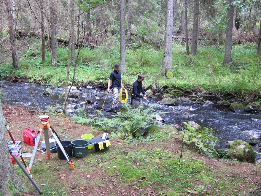 Electro fishing in forest stream. Photo.