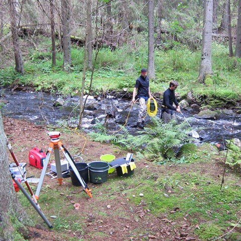 Electro fishing in stream. Photo.