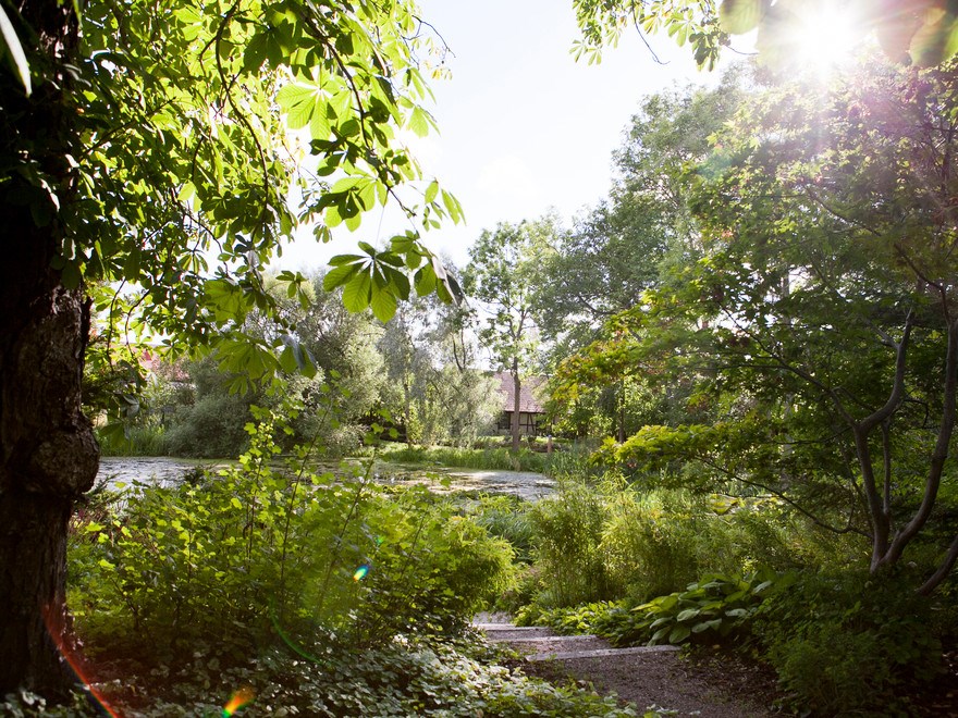 En grönskande park