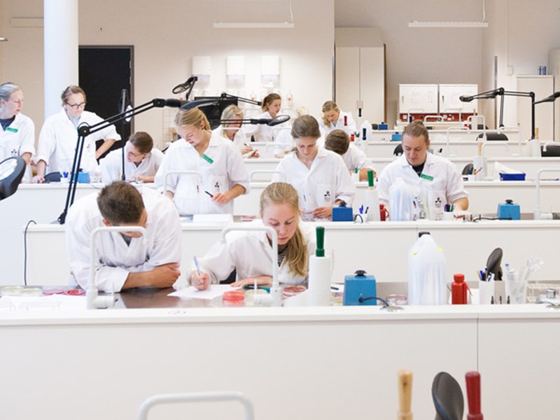 Students in lab