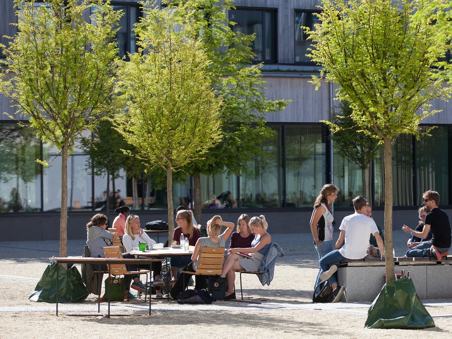 An image of a group of people sitting around a table. Outdoors, summer.