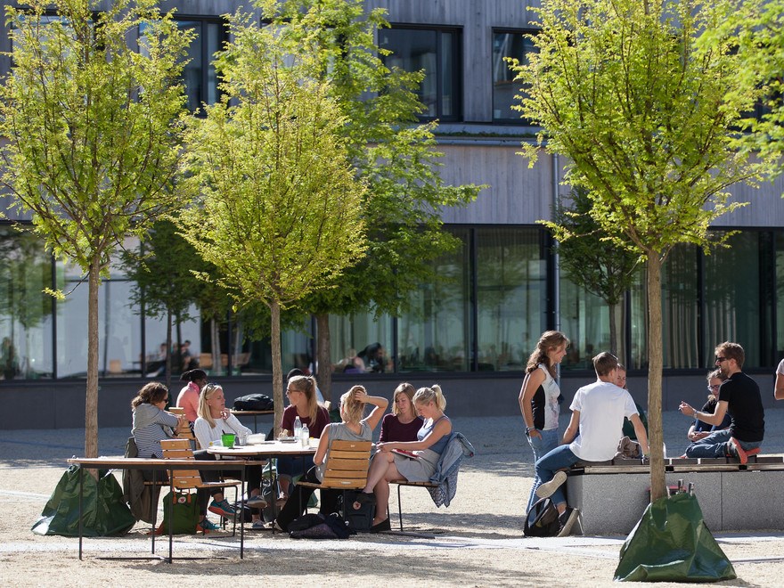 An image of a group of people sitting around a table. Outdoors, summer.