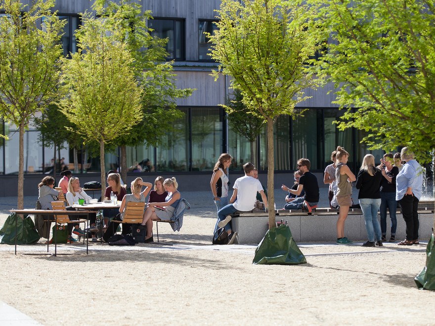 People chatting under some trees
