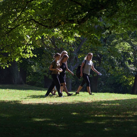 An image of four people walking in a park. Summer.