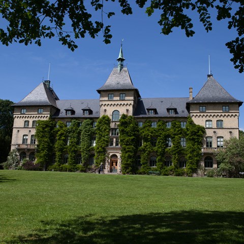 An image of a stone castle. A lawn in the foreground. Summer.