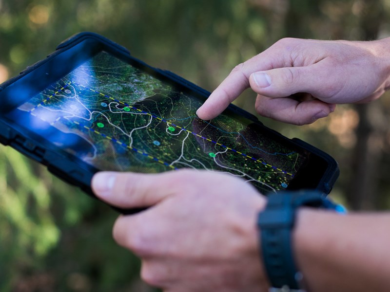 Forest data