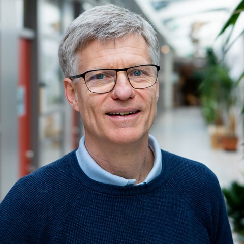 Professor Göran Bergkvist
