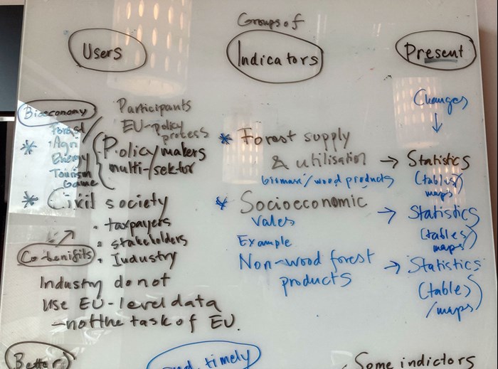 Whiteboard