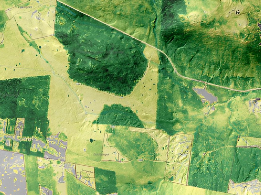 forest attribute maps