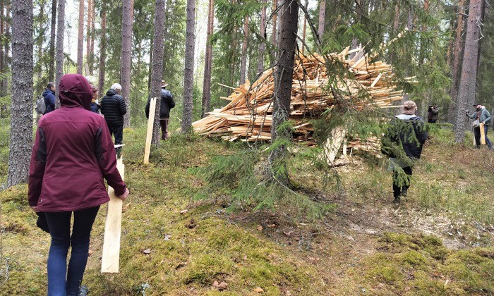 Trä bärs genom skogen