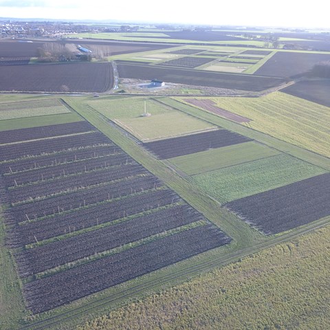 Överblick SAFE expriment, flygfoto