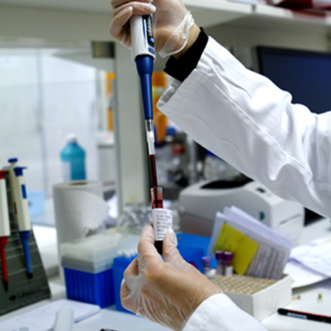 Analysis laboratory at the Department of Animal Nutrition and Management |  Externwebben