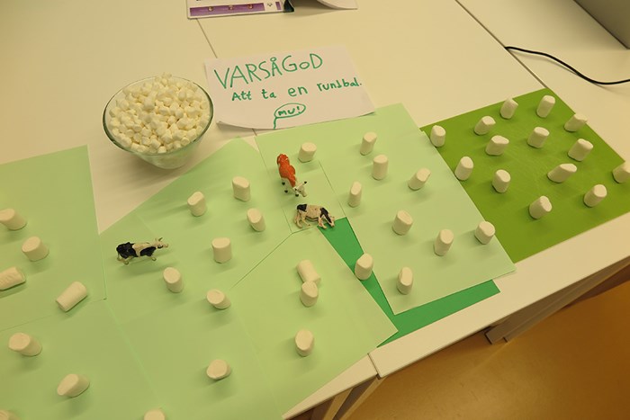 Toy animals and marshmallows.