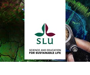 SLU's brand promise