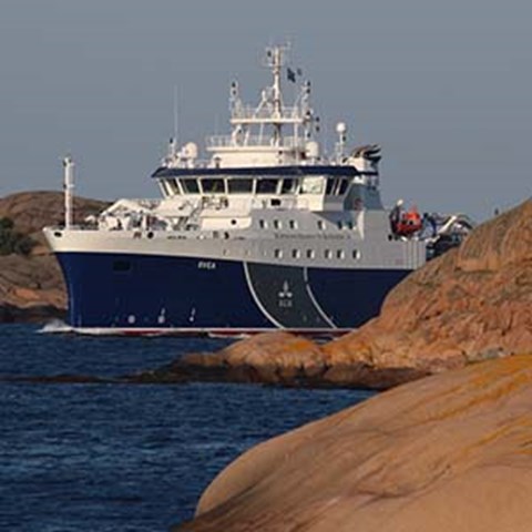 Svea