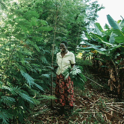 Benta Muga, Kenya. Foto: Amunga Eschuchi, Vi-skogen
