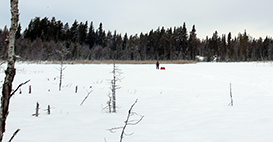 Decreasing snow cover causes increasing methane production in frozen lakes