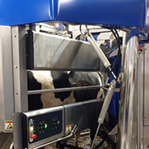 Mjölkningsrobot som får symbolisera insamling av data i projektet Gigacow. Foto.