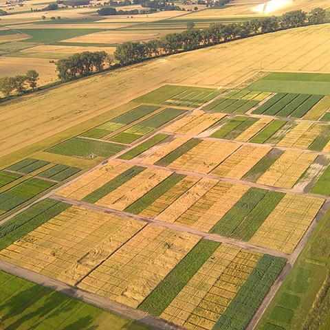Flygfoto på långliggande jordbruksförsök