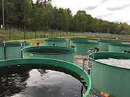 Photo of large water containers