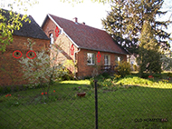 Old homestead with a lot of possible nesting sites