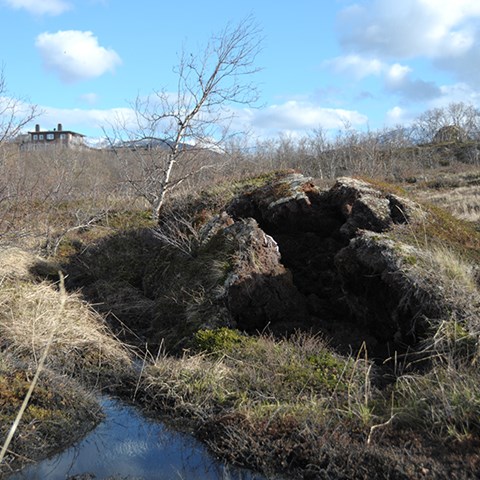 Foto på tinande permafrost i Abisko